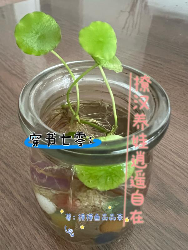 穿书七零撩汉养娃逍遥自在作者摸摸鱼品品茶