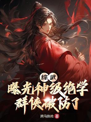 综武侠啥意思