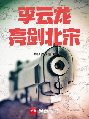 李云龙亮剑北宋免费阅读